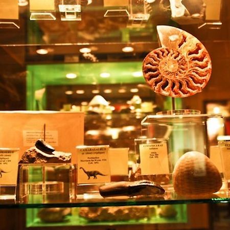 Le Lodges Quievrain Dış mekan fotoğraf