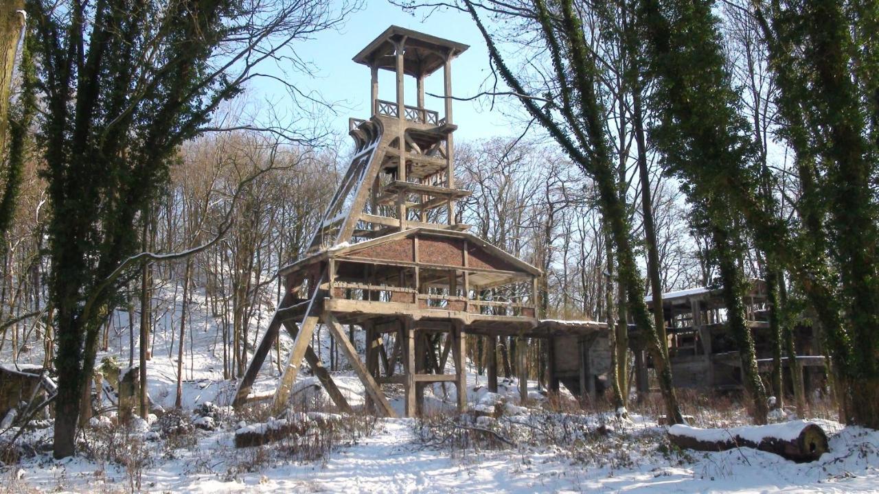 Le Lodges Quievrain Dış mekan fotoğraf